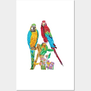 Parrots Posters and Art